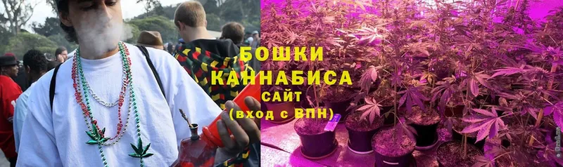 Бошки марихуана ГИДРОПОН  продажа наркотиков  Каспийск 